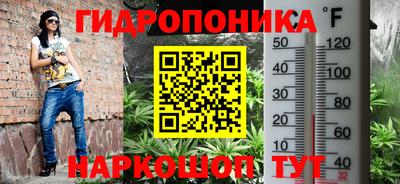 гашик Аша