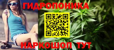 прущие грибы Ачхой-Мартан