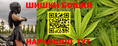 прущие грибы Ачхой-Мартан
